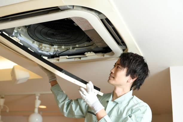 Best Air Vent Cleaning Services  in Carrington, ND