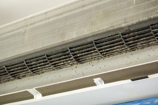 Best HVAC Air Duct Cleaning  in Carrington, ND