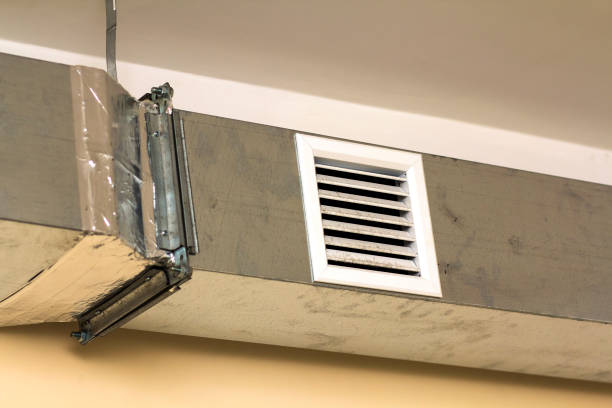 Best Dryer Vent Cleaning Services  in Carrington, ND